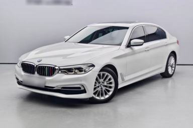 Used BMW 5 Series 2020 530Li Leading Edition Luxury Package