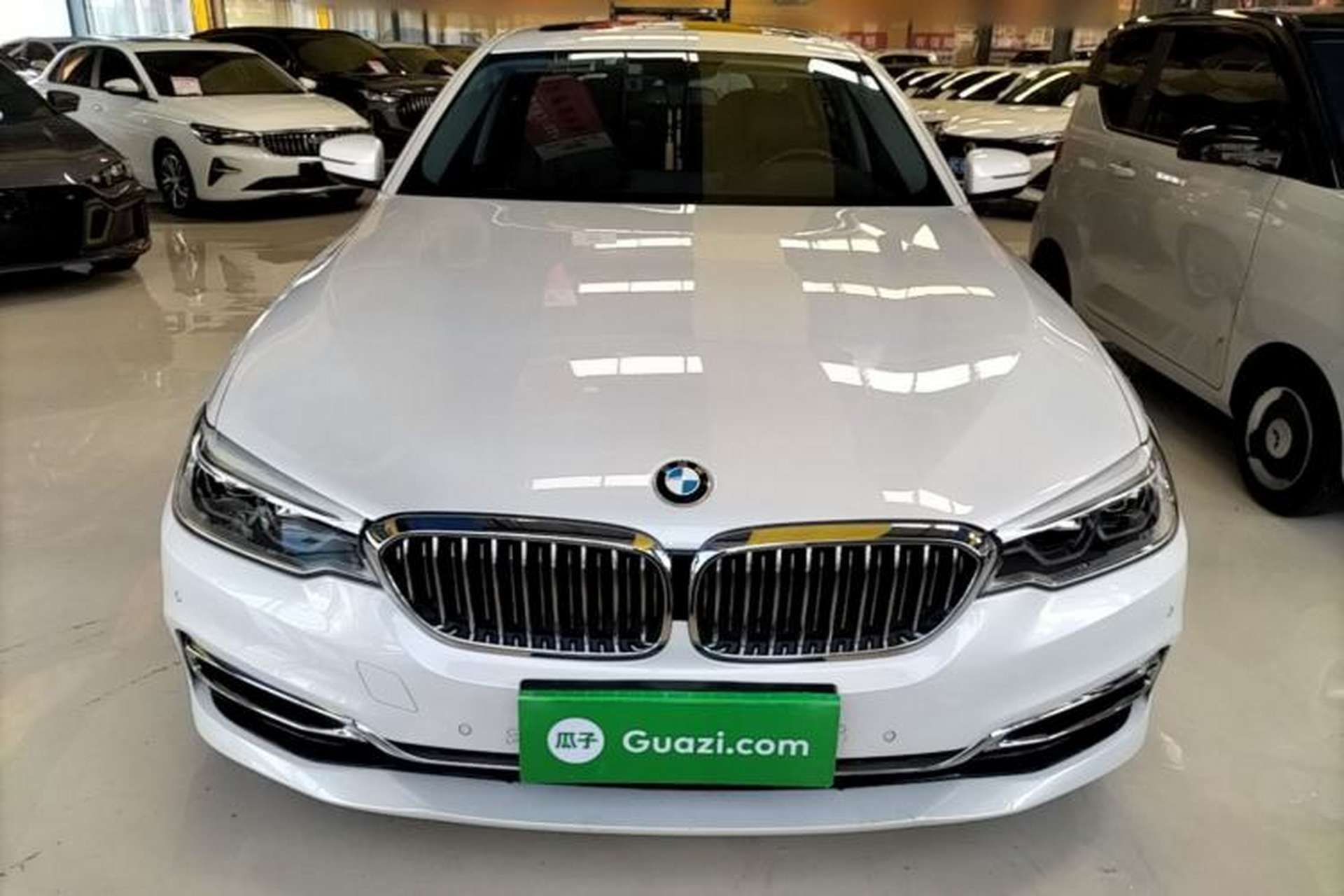 Used BMW 5 Series 2020 530Li Leading Edition Luxury Package Front