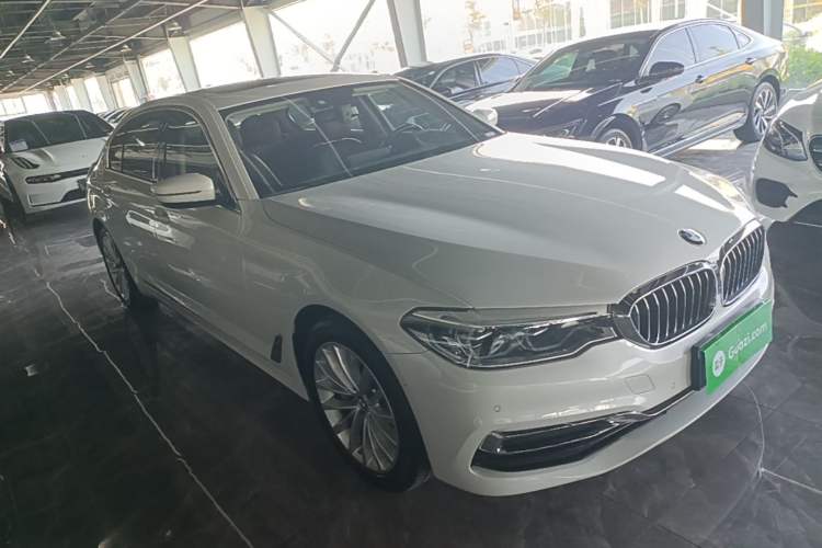 Used BMW 5 Series 2020 530Li xDrive Luxury Package Front Right 45 Deg