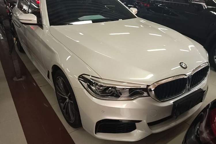 Used BMW 5 Series 2020 530Li Luxury Edition M Sport Package Front Right 45 Deg