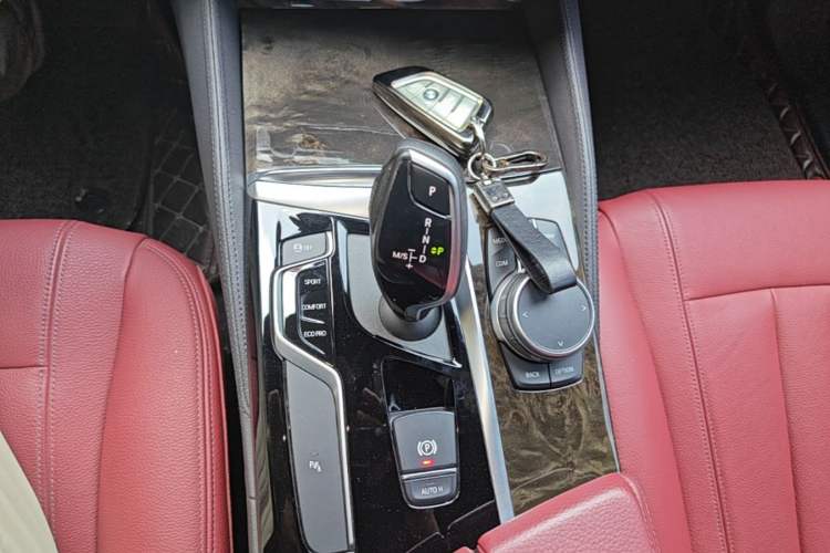 Used BMW 5 Series 2020 530Li Leading Model M Sport Package Gear Lever