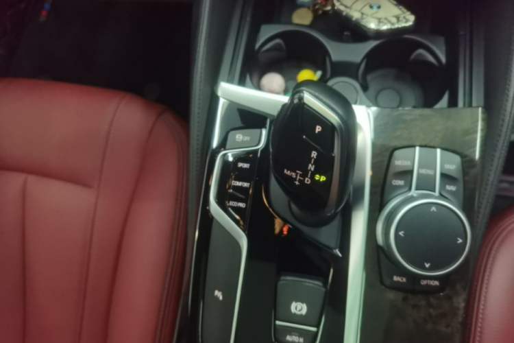 Used BMW 5 Series 2020 530Li xDrive M Sport Package Gear Lever