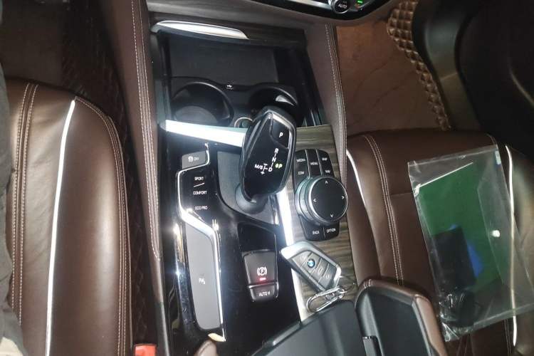 Used BMW 5 Series 2020 530Li Leading Edition Luxury Package Gear Lever