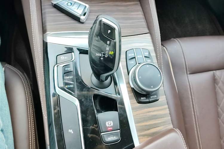 Used BMW 5 Series 2020 530Li Leading Edition Luxury Package Gear Lever