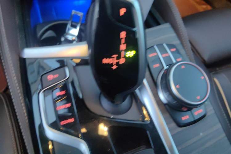 Used BMW 5 Series 2020 530Li Luxury Edition Premium Package Gear Lever