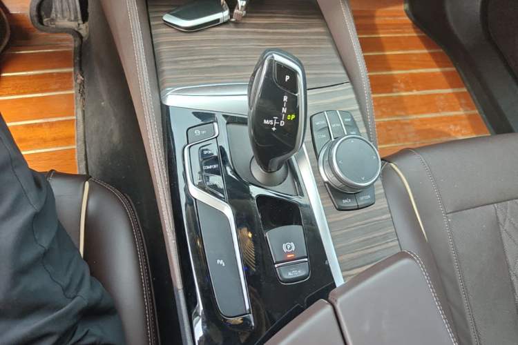 Used BMW 5 Series 2020 530Li xDrive Luxury Package Gear Lever