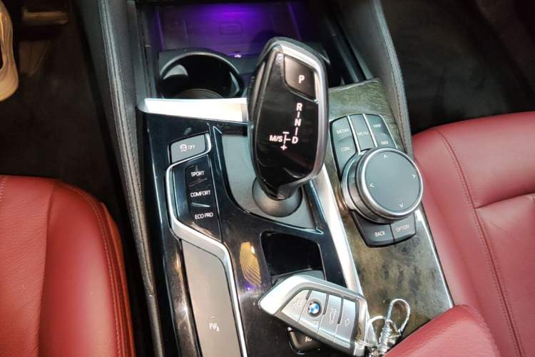 Used BMW 5 Series 2020 530Li xDrive M Sport Package Gear Lever