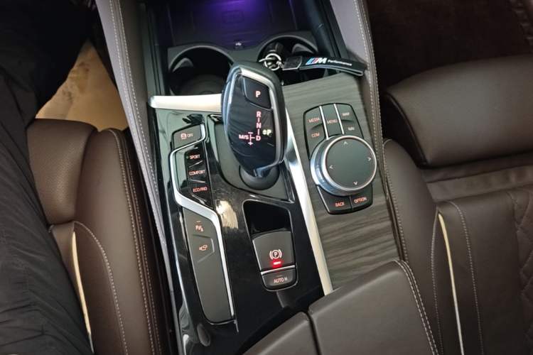 Used BMW 5 Series 2020 530Li Luxury Edition Premium Package Gear Lever