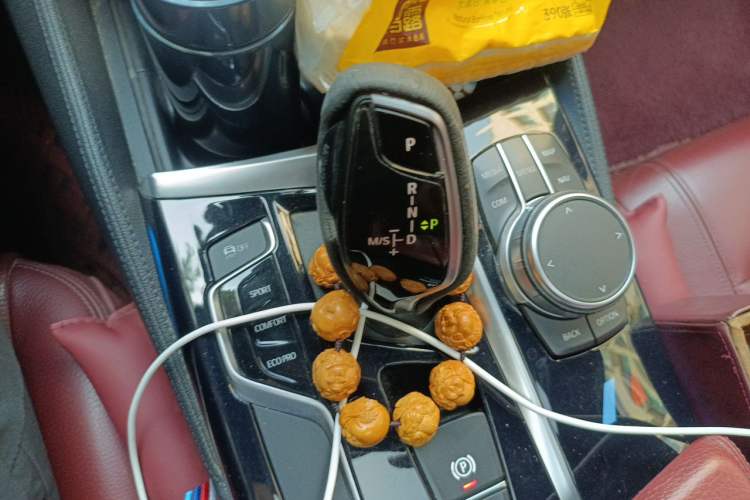 Used BMW 5 Series 2020 530Li Leading Model M Sport Package Gear Lever