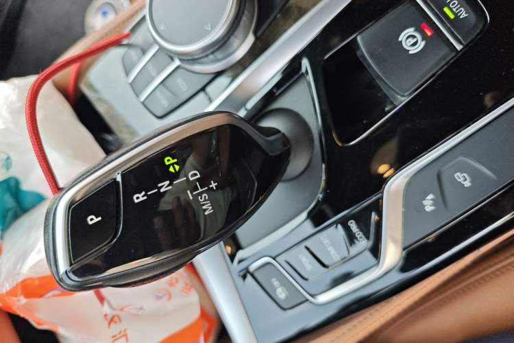 Used BMW 5 Series 2020 530Li Luxury Edition M Sport Package Gear Lever