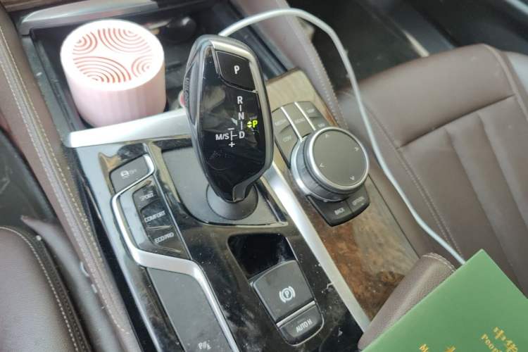 Used BMW 5 Series 2020 525Li Luxury Package Gear Lever