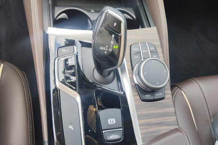Used BMW 5 Series 2020 530Li xDrive Luxury Package Gear Lever