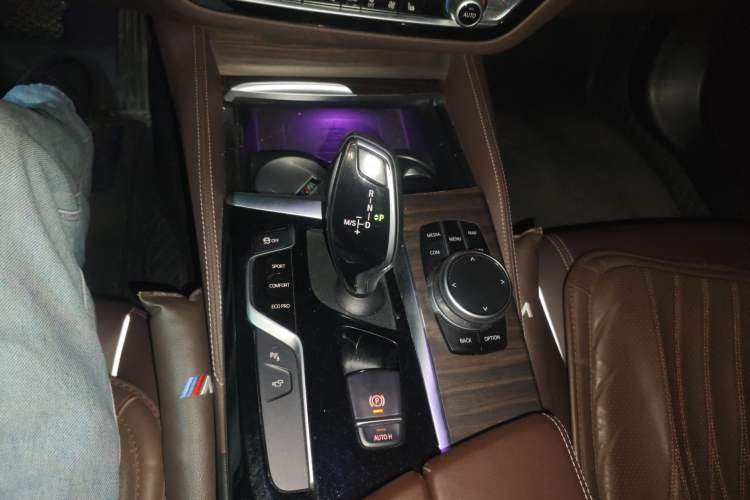 Used BMW 5 Series 2020 530Li Leading Edition Luxury Package Gear Lever