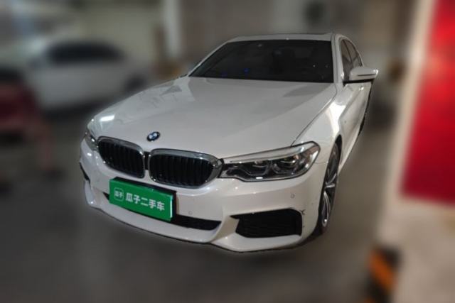 Used BMW 5 Series 2020 530Li Leading Model M Sport Package
