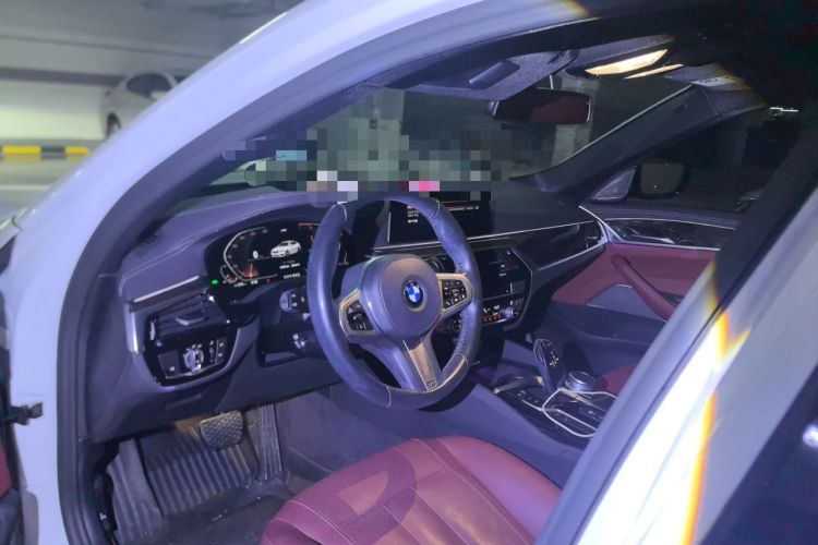 Used BMW 5 Series 2020 530Li Luxury Edition M Sport Package Headliner