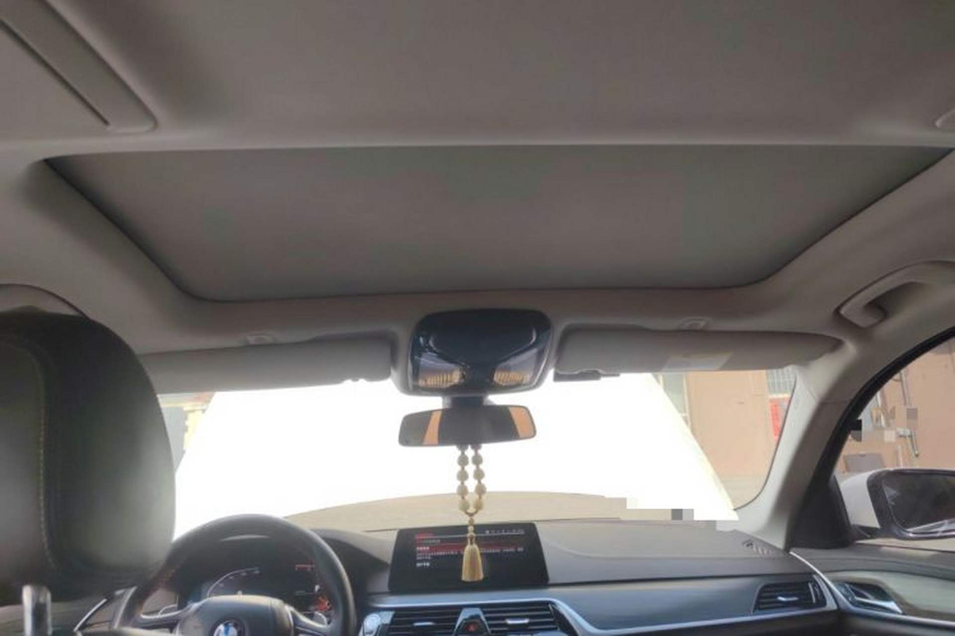 Used BMW 5 Series 2020 530Li xDrive Luxury Package Headliner