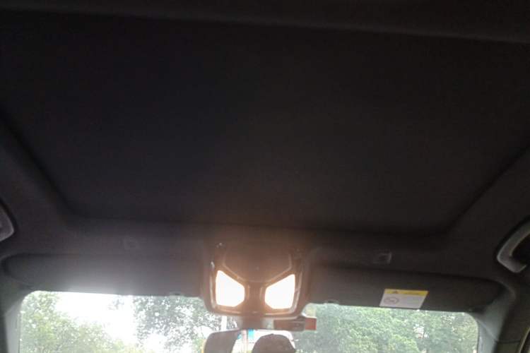 Used BMW 5 Series 2020 525Li M Sport Package Headliner