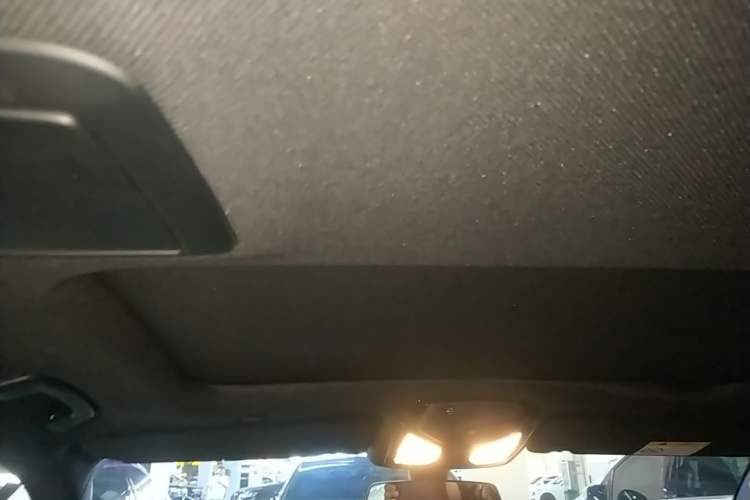 Used BMW 5 Series 2020 530Li xDrive M Sport Package Headliner