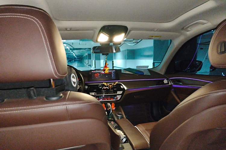 Used BMW 5 Series 2020 530Li Leading Edition Luxury Package Headliner
