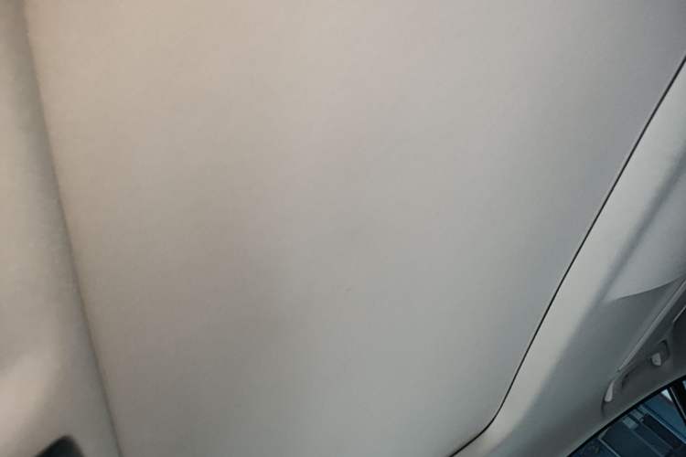 Used BMW 5 Series 2020 525Li Luxury Package Headliner