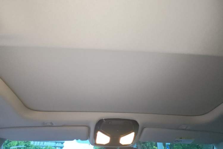 Used BMW 5 Series 2020 530Li Luxury Edition Premium Package Headliner