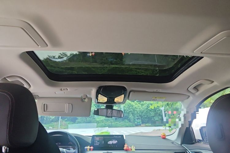 Used BMW 5 Series 2020 530Li Leading Edition Luxury Package Headliner