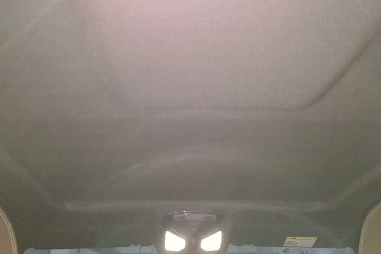 Used BMW 5 Series 2020 525Li M Sport Package Headliner