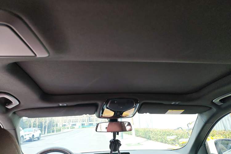 Used BMW 5 Series 2020 530Li xDrive M Sport Package Headliner