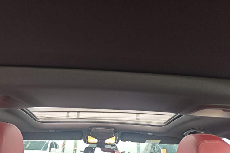 Used BMW 5 Series 2020 530Li Leading Model M Sport Package Headliner