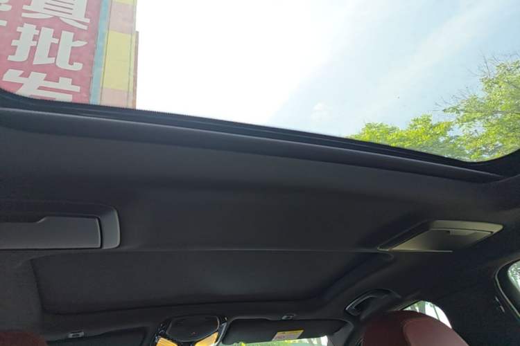 Used BMW 5 Series 2020 530Li Leading Model M Sport Package Headliner