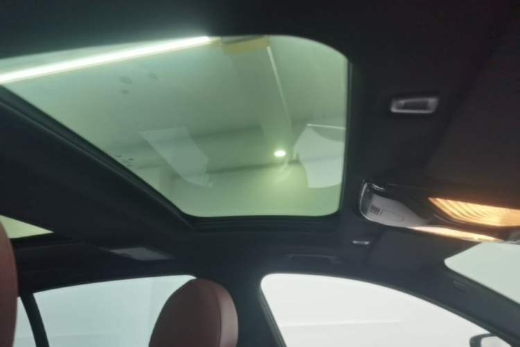 Used BMW 5 Series 2020 530Li xDrive M Sport Package Headliner