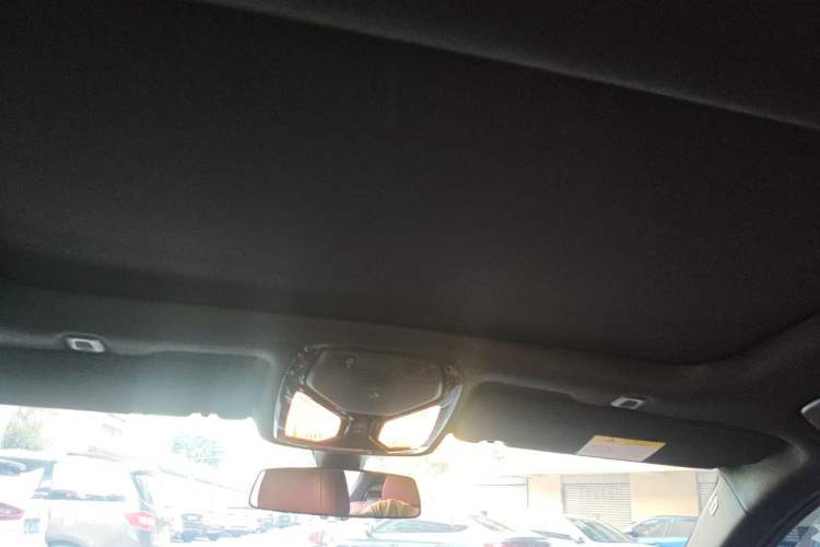 Used BMW 5 Series 2020 530Li xDrive M Sport Package Headliner