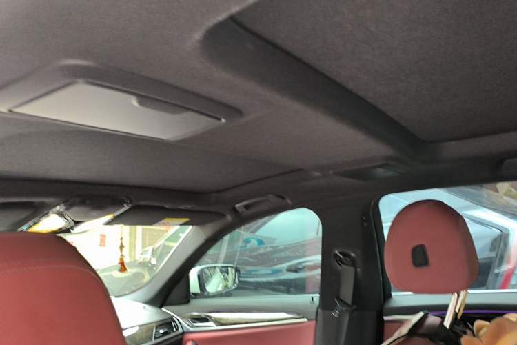 Used BMW 5 Series 2020 530Li Leading Model M Sport Package Headliner