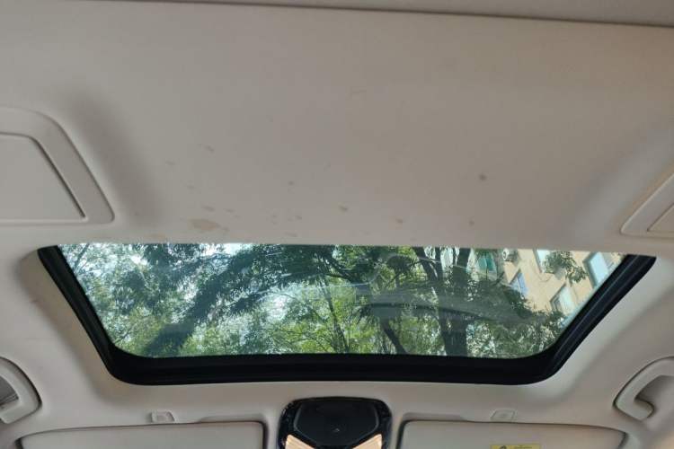 Used BMW 5 Series 2020 530Li xDrive Luxury Package Headliner