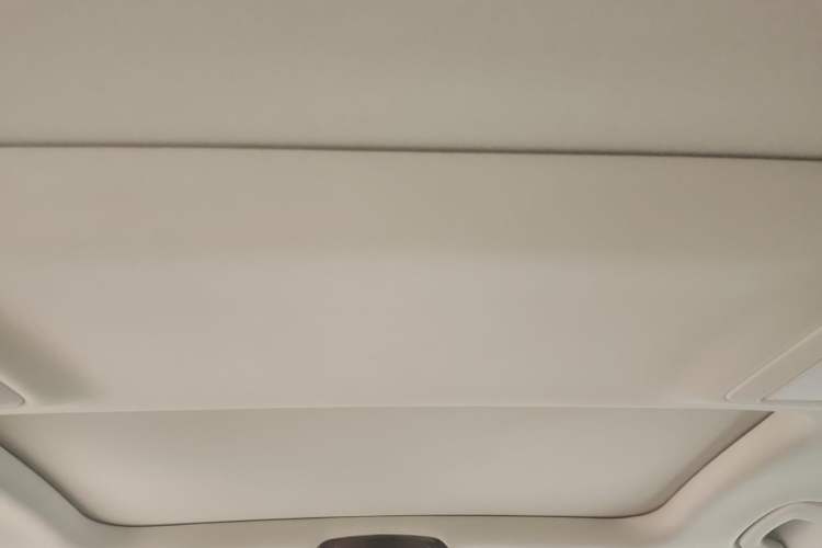 Used BMW 5 Series 2020 530Li Leading Edition Luxury Package Headliner