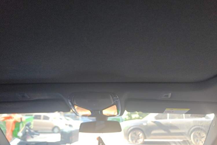 Used BMW 5 Series 2020 525Li M Sport Package Headliner