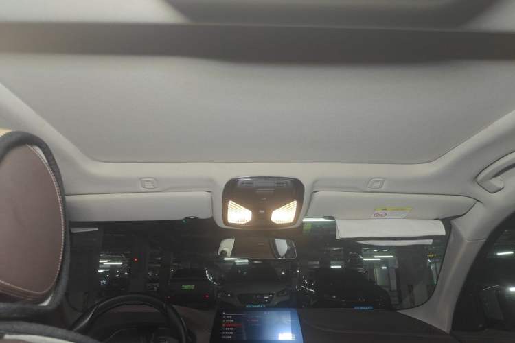 Used BMW 5 Series 2020 525Li Luxury Package Headliner