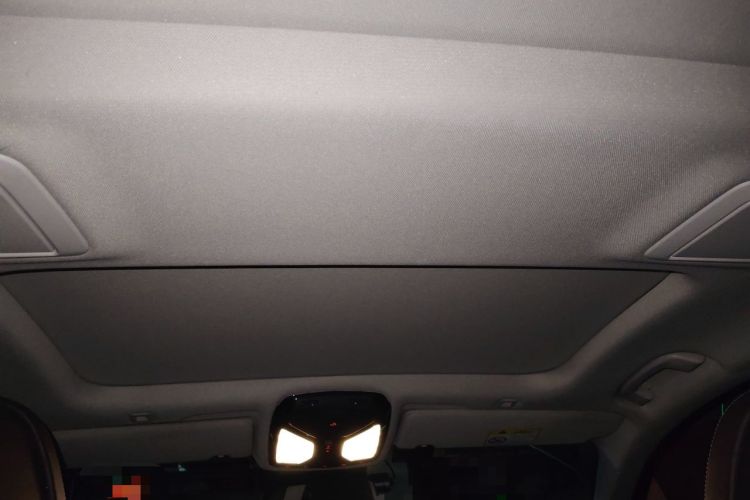 Used BMW 5 Series 2020 530Li Luxury Edition Premium Package Headliner