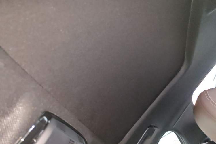 Used BMW 5 Series 2020 525Li M Sport Package Headliner