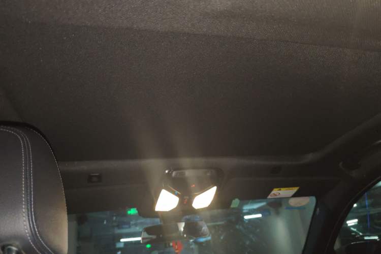 Used BMW 5 Series 2020 530i M Sport Package Headliner