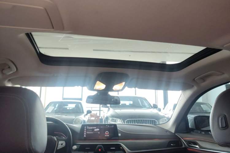 Used BMW 5 Series 2020 530Li Leading Edition Luxury Package Headliner