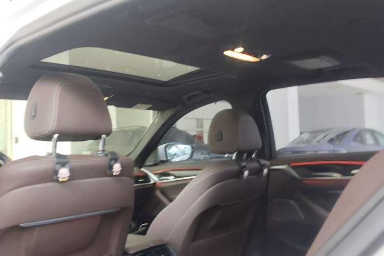 Used BMW 5 Series 2020 525Li M Sport Package Headliner