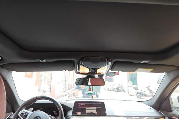 Used BMW 5 Series 2020 530Li Leading Model M Sport Package Headliner