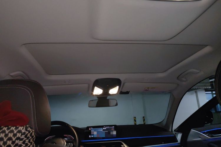 Used BMW 5 Series 2020 525Li Luxury Package Headliner