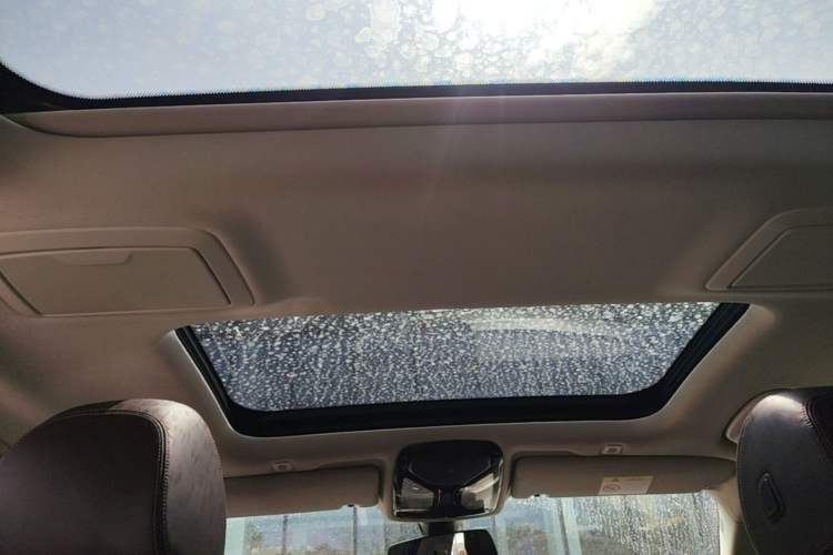 Used BMW 5 Series 2020 530Li xDrive Luxury Package Headliner