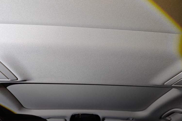 Used BMW 5 Series 2020 530Li xDrive Luxury Package Headliner