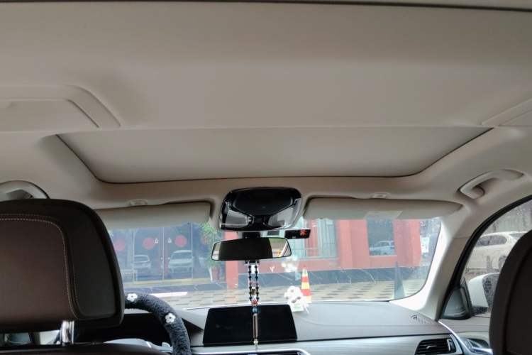 Used BMW 5 Series 2020 530Li Luxury Edition Premium Package Headliner