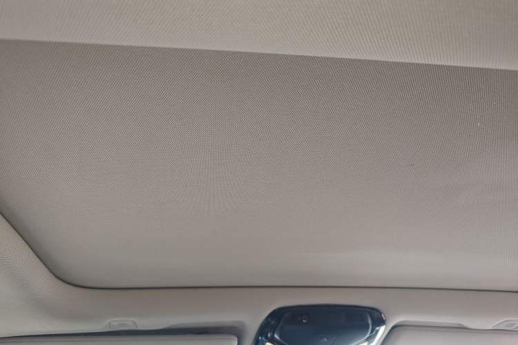 Used BMW 5 Series 2020 530Li xDrive Luxury Package Headliner