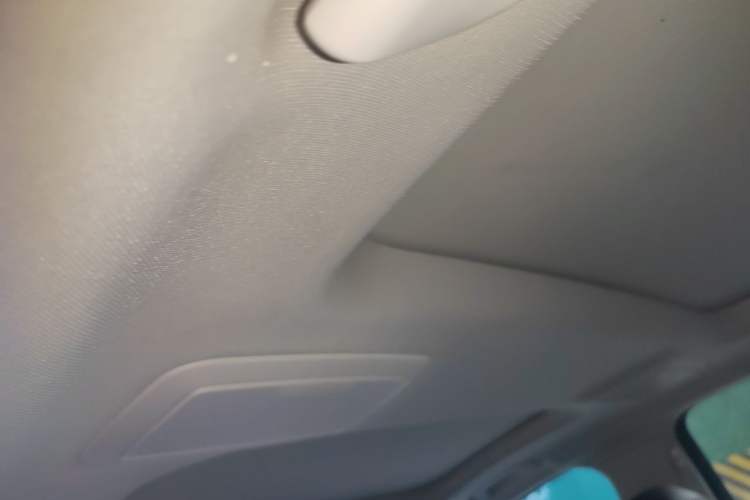 Used BMW 5 Series 2020 530Li xDrive Luxury Package Headliner