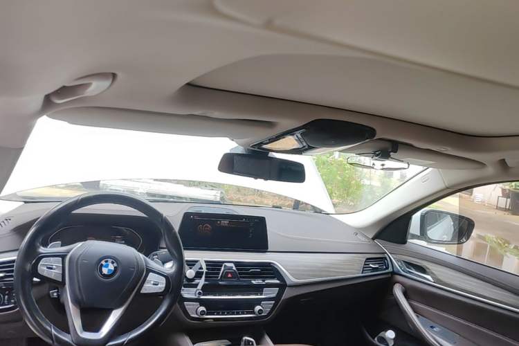 Used BMW 5 Series 2020 530Li xDrive Luxury Package Headliner